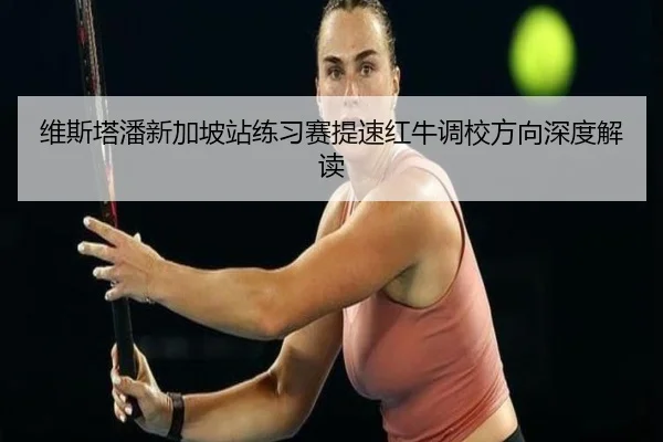 维斯塔潘新加坡站练习赛提速红牛调校方向深度解读